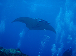 2009.07.9-13 276.jpg